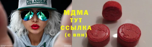 молекула духа Богданович