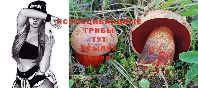 купить закладку  Дедовск  blacksprut ONION  Псилоцибиновые грибы ЛСД 